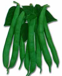 Beans